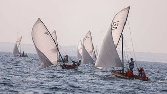 مهرجان الياسات ينطلق في 12 ديسمبر بمنطقة الظفرة