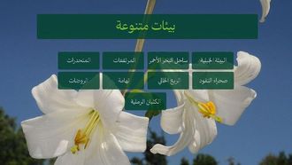 تشجير عسير: 165 نبتة محلية