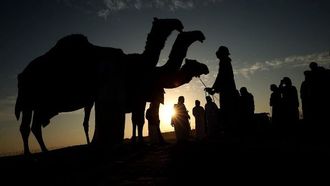 تبدأ مسابقة جمال مدينة زايد غداً