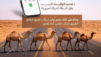 تنسيق معابر الجمال من أجل طرق آمنة