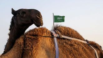 جمال نجران تسلط الضوء على التراث والاقتصاد