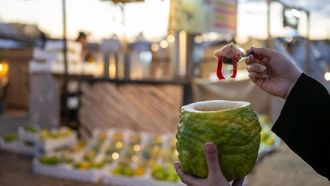 Citron Fruit: A Winter Favourite In Al-Jouf