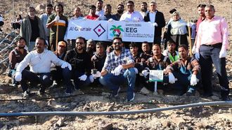 غرس 3791 شجرة محلية في رأس الخيمة