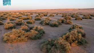Floodplains Rehabilitation In Saudi Arabia