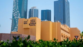 Foetal Surgery Saves Twins In UAE