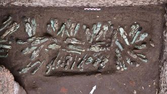 225 Funerary Figurines Found In Tanis Tomb