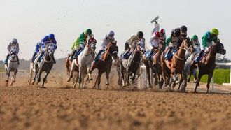 انطلاق سباق كأس دول مجلس التعاون الخليجي للخيول في الشارقة