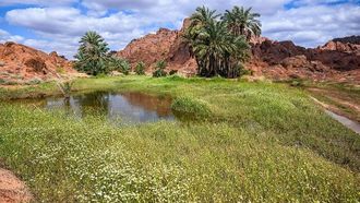 منطقة حائل تشهد نمواً سياحياً في عام 2025