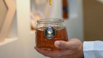Hatta Honey Festival Returns In 2025