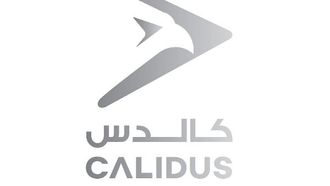 وحدة الإمارات ورؤيتها للمستقبل