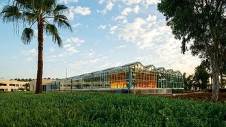 جامعة الملك عبد الله للعلوم والتقنية (كاوست) والمركز الدولي لتحسين الذرة والقمح (سيميت) يتعاونان في أبحاث المحاصيل