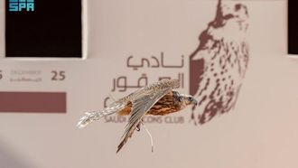 يتصدر اليوم الثالث من مهرجان الملك عبد العزيز للصقارة المشهد