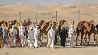 رحلة على ظهور الجمال على طول طريق الحجاج بالقرب من دبي