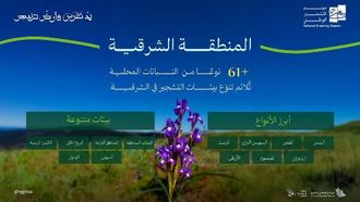 برنامج التشجير يشجع على زراعة النباتات المحلية