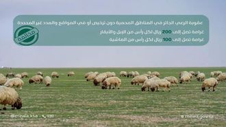 الحد من الرعي الجائر من أجل الاستدامة