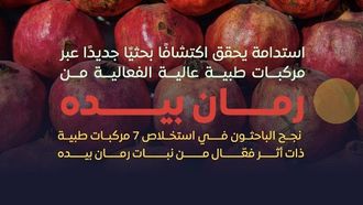 رمان بيدا يبشر بنتائج واعدة في مكافحة السرطان