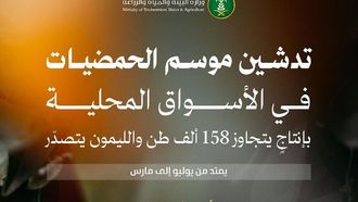 انطلاق موسم الحمضيات في المملكة العربية السعودية