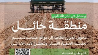 أطلقت شركة هايل مبادرة لزراعة البذور