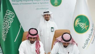 مدرسة سيسامي فيلد تتحول إلى النظام الرقمي في جازان