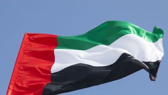 الإمارات تقف إلى جانب السعودية وتنفي وجود علاقات مع اليمن