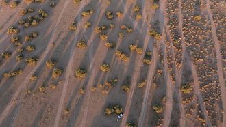 إعادة تأهيل الغطاء النباتي على مساحة 4.7 مليون هكتار