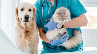 UAE Issues New Law On Veterinary Products