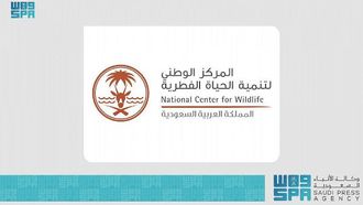 New Phase For Regulating Wildlife In Saudi Arabia