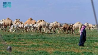 السياحة الشتوية في الحدود الشمالية: المناخ والتراث