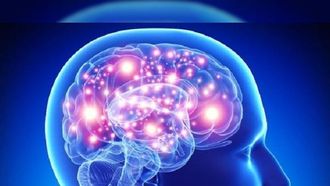 العلاج الصوتي بتردد 40 هرتز يساعد الرئيسيات