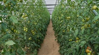 Agriboost 2026 Launches In UAE To Boost Agri-Tech