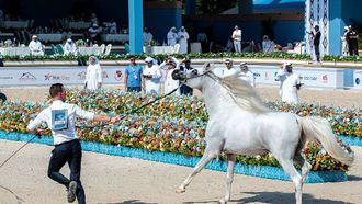 بطولة عجمان 2026 تتألق