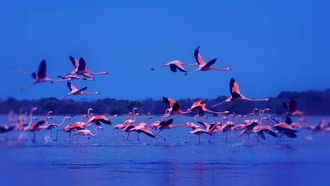 Ajman’s Modern Tourism Attractions