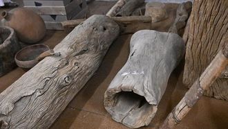 جناح العيدابي في جازان 2026