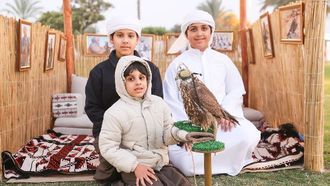 كشفت منطقة الظفرة عن ثلاث مناطق تفاعلية