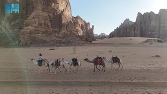 العلا تكشف عن طرق تجارية قديمة