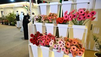 مهرجان الوثبة للزهور يحفز الابتكار