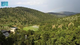Aseer Biodiversity Strengthened This Winter