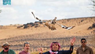 إعادة توطين طائر الحبارى الآسيوي في السعودية