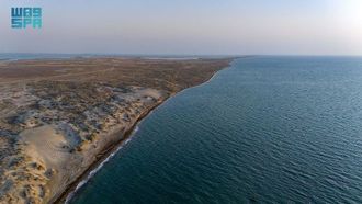 جزيرة أثار: من ميناء تاريخي إلى مركز سياحي