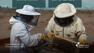 أدوات تربية النحل متوفرة في جميع أنحاء المناطق السعودية