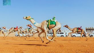 يُتوّج خادم الحرمين الشريفين أبطال مهرجان الإبل 2026