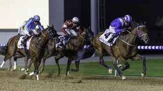 مهرجان دبي للسباق: 111 حصاناً الليلة