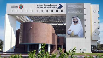 Dubai Tree Planting Initiative Reaches 20,000 Trees