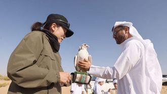 انطلاق النسخة الثالثة من معرض الصيد بالصقور الإماراتي الياباني