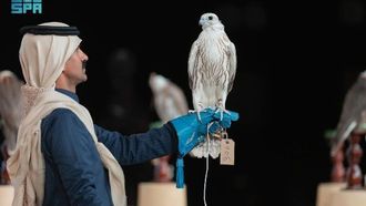 مسابقة جمال الصقر تُتوّج الفائزين