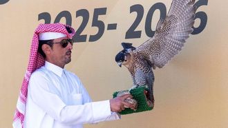 تألق الصقور في اليوم الأول من بطولة فزا