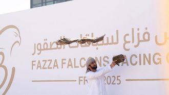 كأس فزاع للصقور 2 ينطلق في 12 يناير