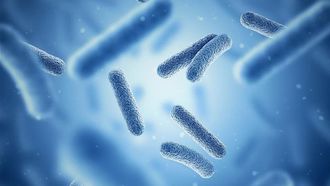 Gut-Brain Axis At Dubai Microbiome Symposium