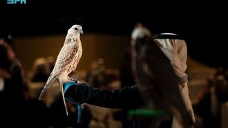 الفائزون في مسابقة الملك عبد العزيز للصقارة 2025