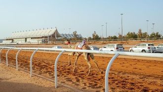 لاقايا تتوج أبطالاً في مهرجان الإبل 2026